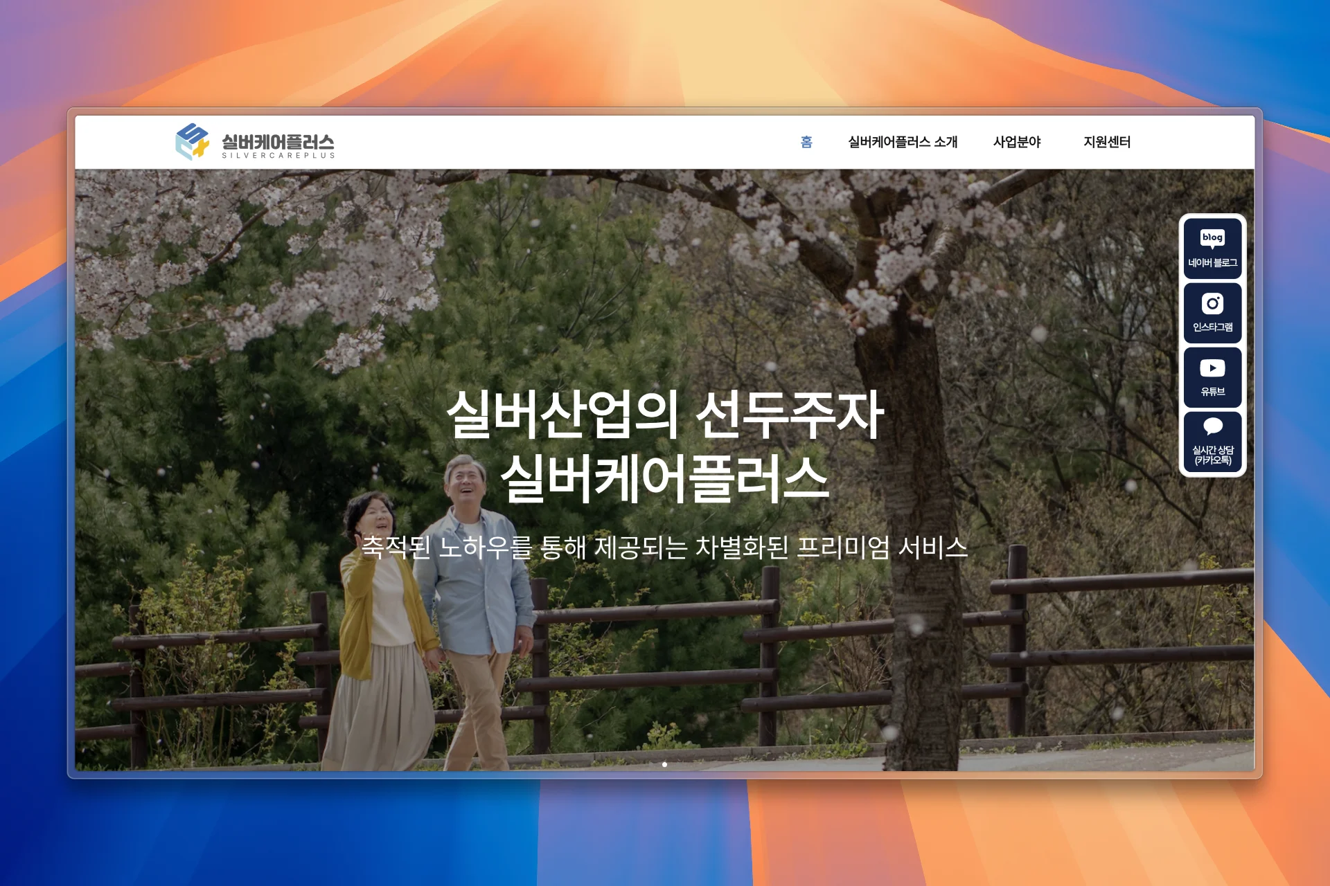 실버케어플러스